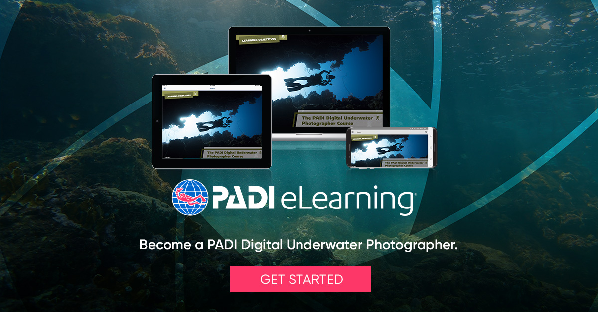 eLearning Digital Underwater Photography